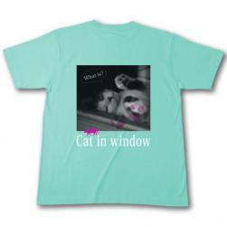 cat_window_t_aqua_u.jpg
