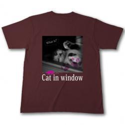 cat_window_t_choco_u.jpg