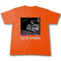 cat_window_t_orange_u.jpg