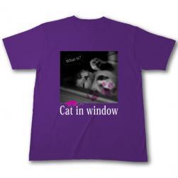 cat_window_t_purple_u.jpg