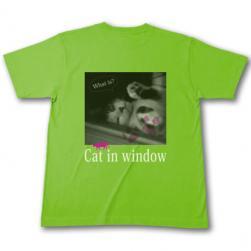 cat_window_t_rimerime.jpg