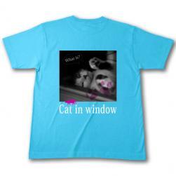 cat_window_t_tacois_u.jpg