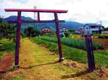 板垣.jpg