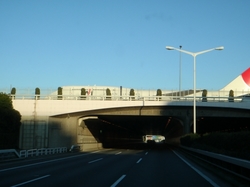 220117tokyobay 002.jpg