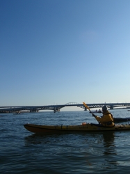 220117tokyobay 218.jpg