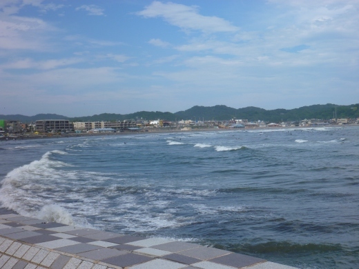 220619enoshima 005.jpg