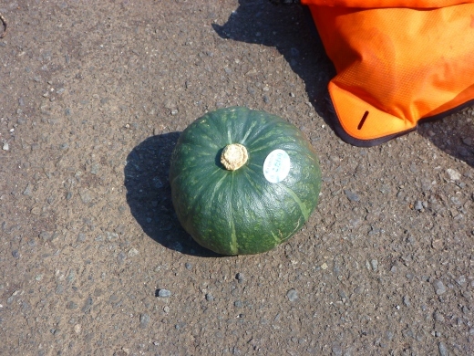 220725pumpkin 043.jpg