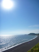 220828hayama 009.jpg