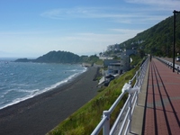 220828hayama 010.jpg