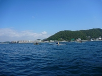 221003hayama 011.jpg