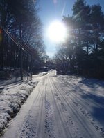 230115snow 195.jpg