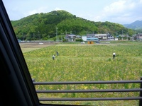 230505nishiizu 038.jpg