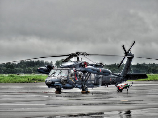 百里基地航空祭2013(その３)