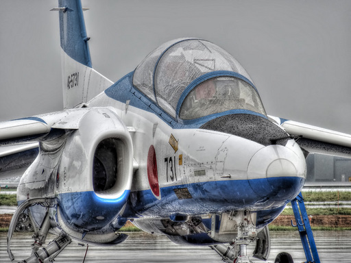 三沢基地航空祭2013(その９)