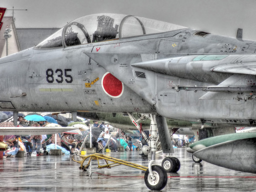三沢基地航空祭2013(その１３)