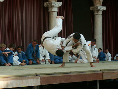 judo_54bba266b5z.jpg