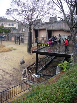 安佐動物園１９