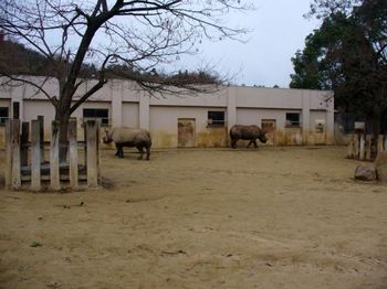 安佐動物園２８