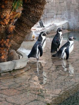 自然動物園２