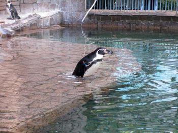 自然動物園３