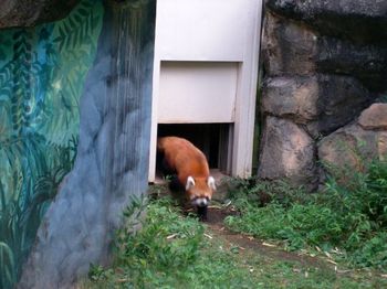 自然動物園３８