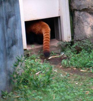 自然動物園４８