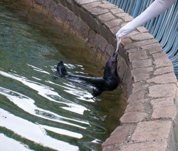 自然動物園５