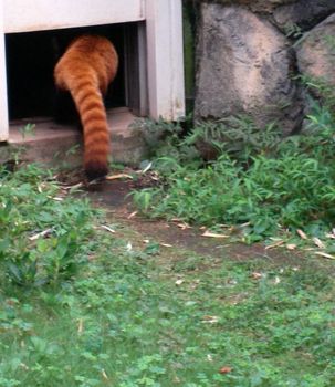 自然動物園５４