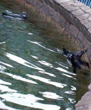 自然動物園７