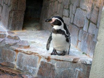 自然動物園９