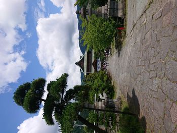 DSC_4427.JPG