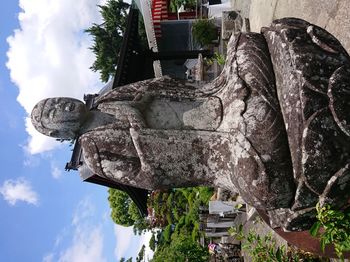 DSC_4428.JPG