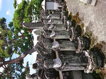 DSC_4429.JPG