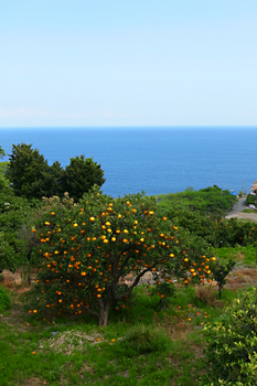 R0012215.jpg