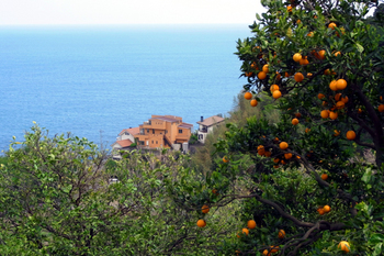 R0012220.jpg