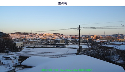 0123雪の朝.jpg