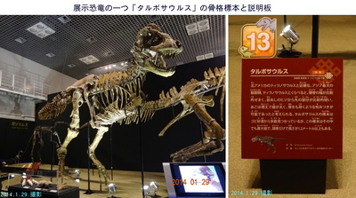 0129恐竜展２.jpg