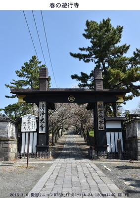 0406遊行寺.jpg