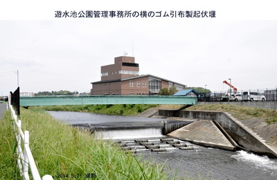 0526ゴム引堰.jpg