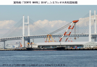 0615SENYO MARU.jpg