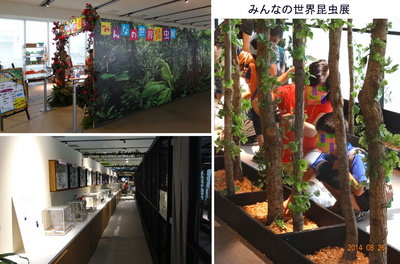 0826昆虫展.jpg
