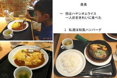 0826鉄道&虫の昼食.jpg