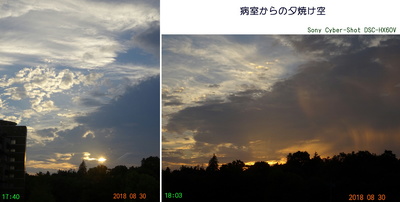 0830病窓の夕焼け.jpg