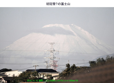 1016冠雪の富士山.jpg