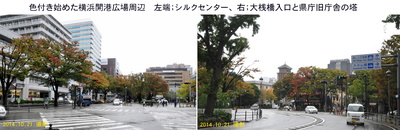 1021色付く公園.jpg