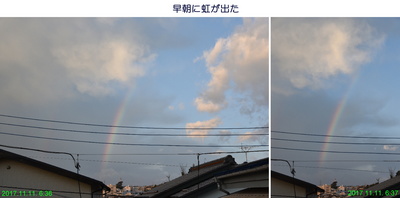 1111朝の虹1.jpg