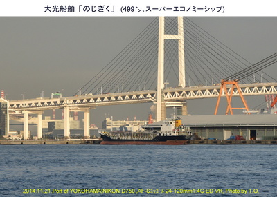 1121のじぎく.jpg