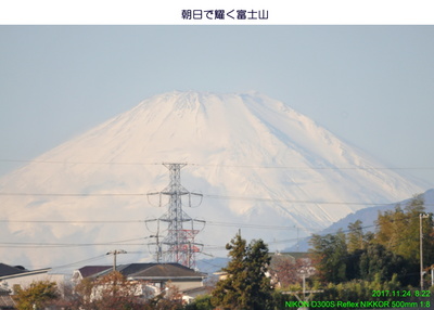 1124富士山1.jpg