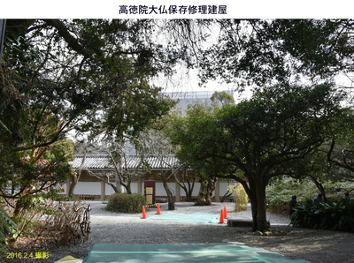 20160204高徳院.jpg