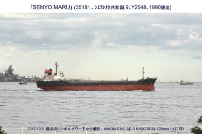 20161006SENYO MARU.jpg